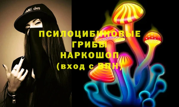 тгк Армянск