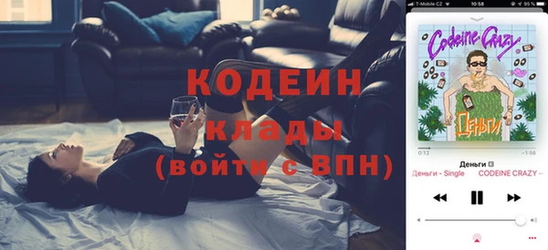 шишки Арсеньев