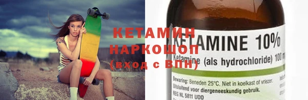 шишки Арсеньев