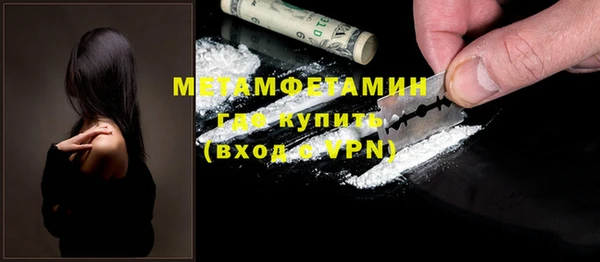 шишки Арсеньев