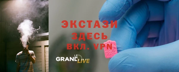 шишки Арсеньев