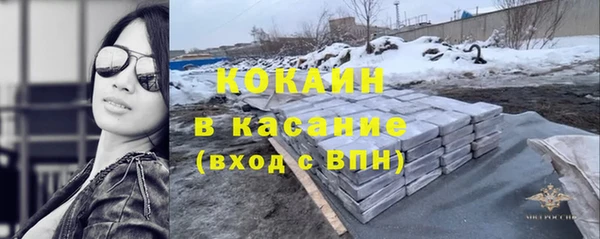 шишки Арсеньев